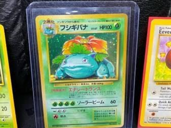 66 Vintage Pokemon Card Collection