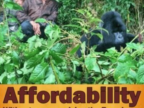 Why Visit Bwindi Impenetrable Forest in Uganda? 12-Reasons why you should