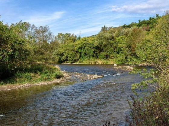 15 Things To Do In Mississauga, Canada