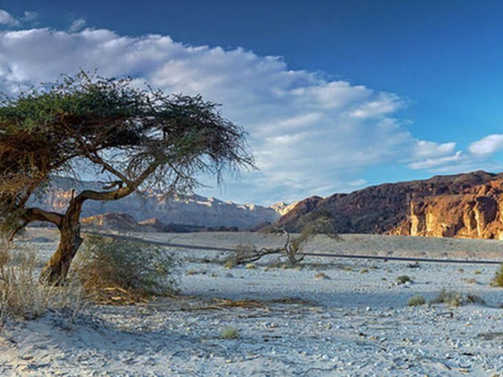 10 Top-Rated Tourist Attractions & Things to Do in Eilat