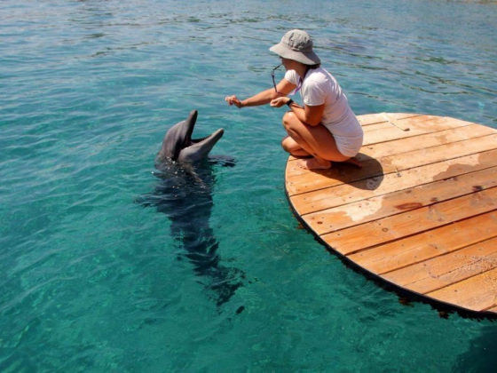 10 Best Things to Do in Eilat