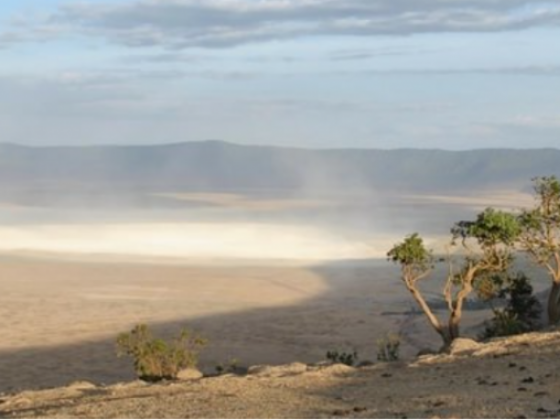 When is the Best Time to Visit the Ngorongoro Crater?
