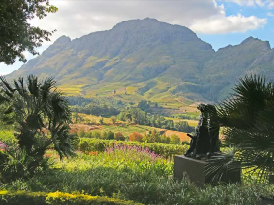Amazing Things to do in Stellenbosch, South Africa