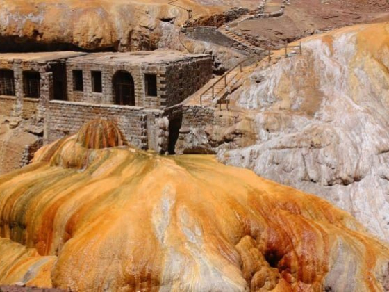 A local's guide to Mendoza, Argentina