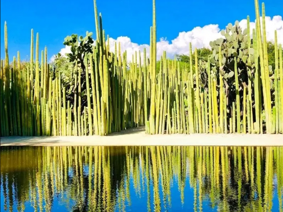 Traveling to Oaxaca, Mexico: Your ULTIMATE Oaxaca Travel Guide