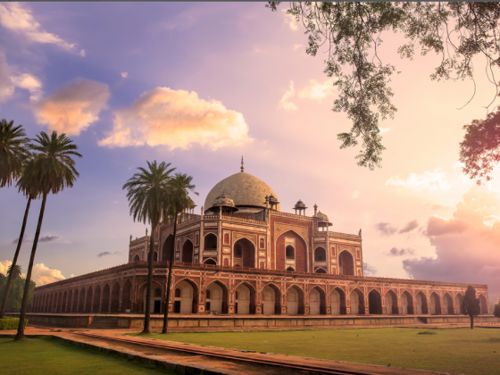 New Delhi Travel Guide