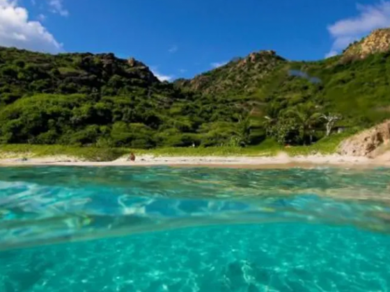 Visit Saint-Barthélemy