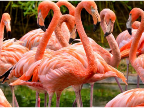 Top 8 Day Tours In Hyderabad, India - Updated 2021