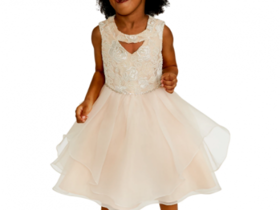 Rare Editions Little Girls Sequin Embroidered Dress