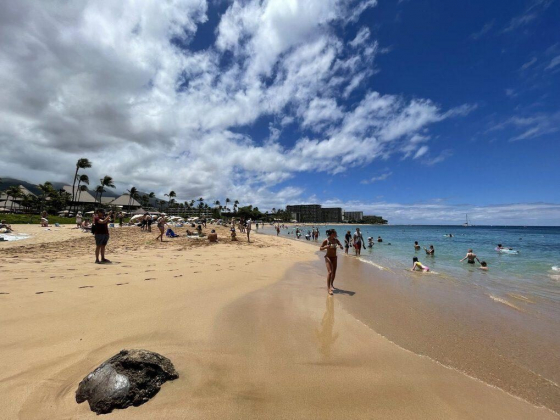 For a tourist, Maui reflects the tension of what it means to travel responsibly
