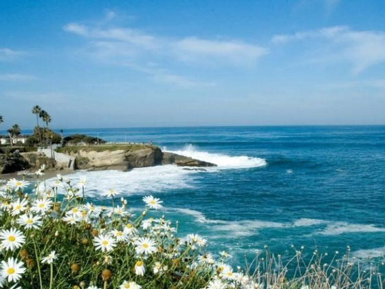 A Travel Guide to San Diego, America’s Finest City