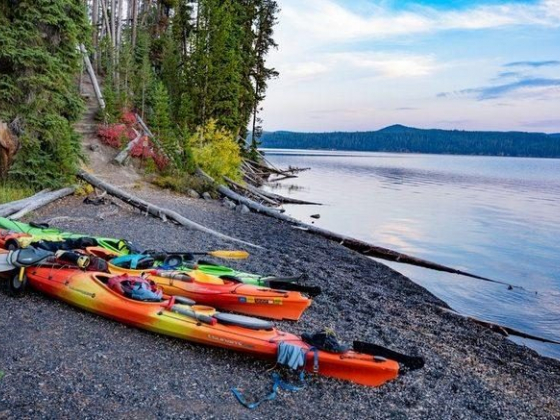 This Is the Best Way to Visit Yellowstone National Park