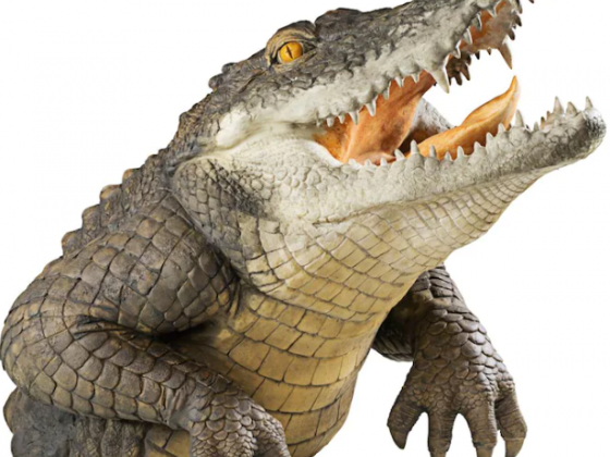 Design Toscano 19-in H x 19.5-in W Animal Garden Statue