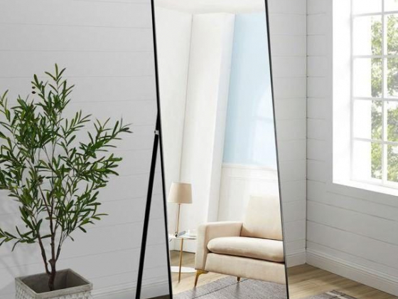 NeuType 65" X 22" Black Rectangular Full Length Floor Mirror With Stand And Aluminum Alloy Frame