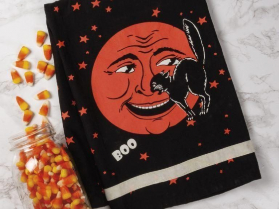 Primitives By Kathy BOO with Moon Halloween Dish Towel