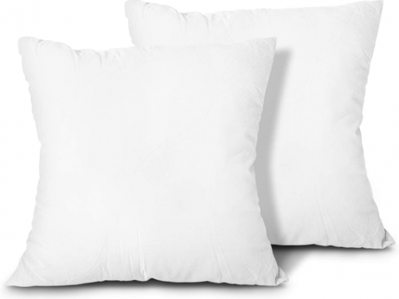 EDOW Throw Pillow Inserts, Set of 2 Lightweight Down Alternative Polyester Pillow, Couch Cushion, Sh