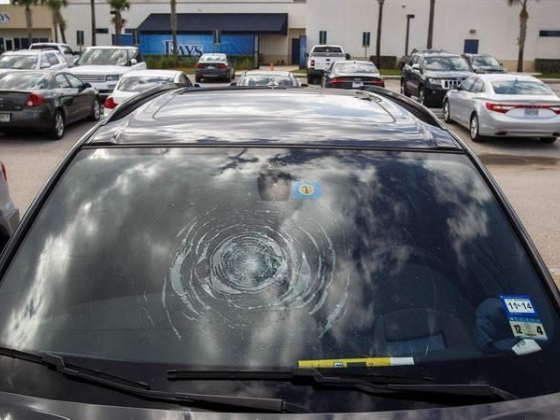 State Farm sues a Sarasota auto glass company for $1.4M