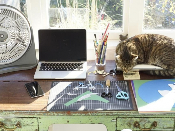 The Top Trends In America’s Job Market