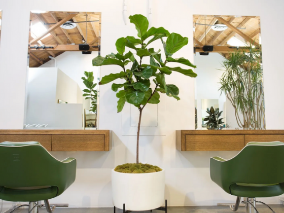 2022 Salon Interior Design Trends