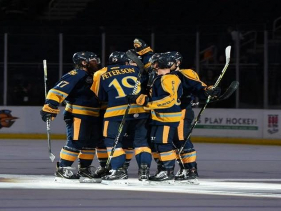 Atlanta Gladiators vs. Greenville Swamp Rabbits