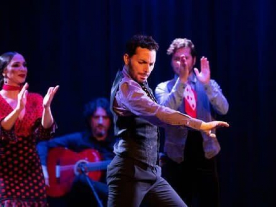 Flamenco Vivo Carlota Santana: Latido