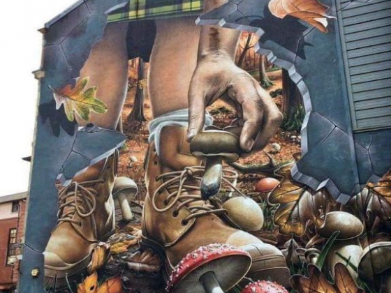 2022 Georgia Mushroom Festival w. Psilocybin Forum, Talks & Forays