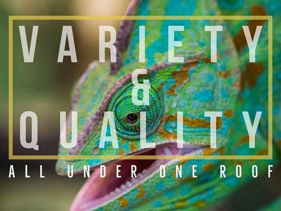 Show Me Reptile & Exotics Show