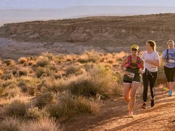 Turn Up the Pink Half