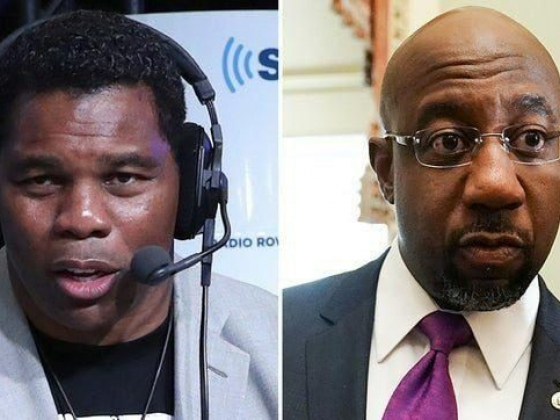 Trump’s Endorsement Not Helping Walker As Per the Latest Georgia Senate Polls