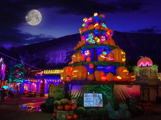 Pumpkin Festival: Play by Day, Glow by Night