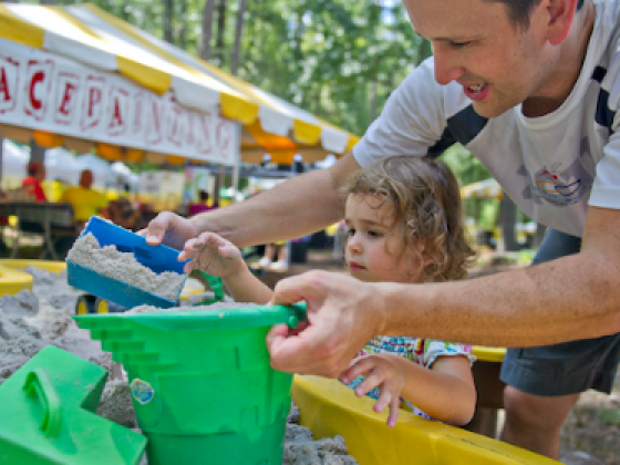 Yellow Daisy Festival