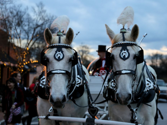 Sparkle! Celebration