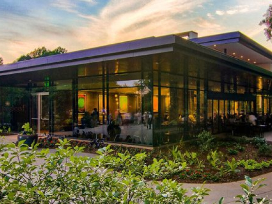 Cocktails in the Garden