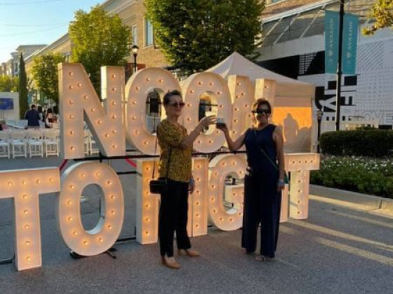 Noon To Night For Bert's Big Adventure