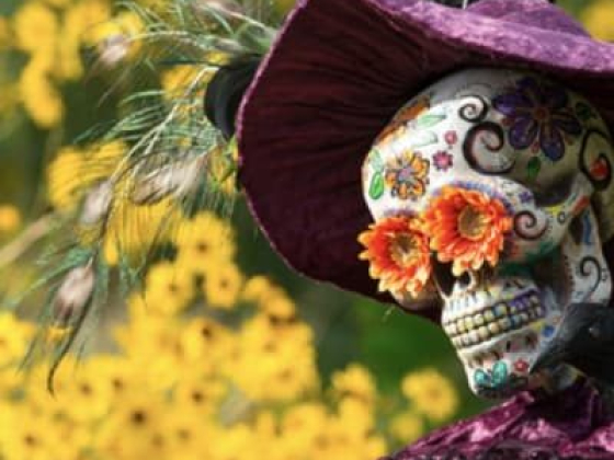 SCARECROWS IN THE GARDEN