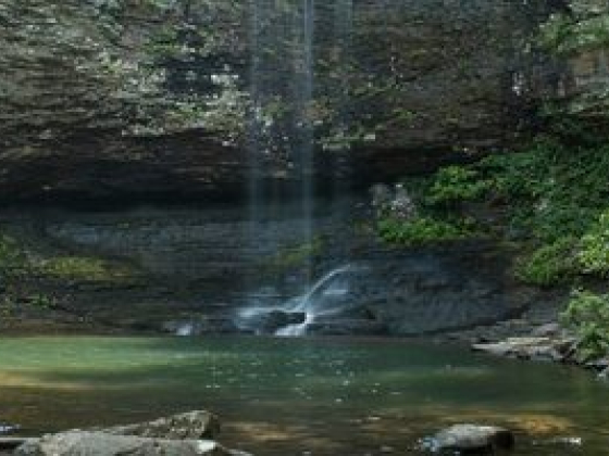 Your State Parks Day