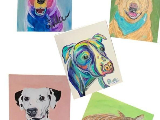 Paint Your Pet Night