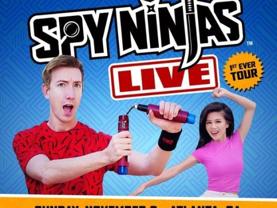 Spy Ninjas Live
