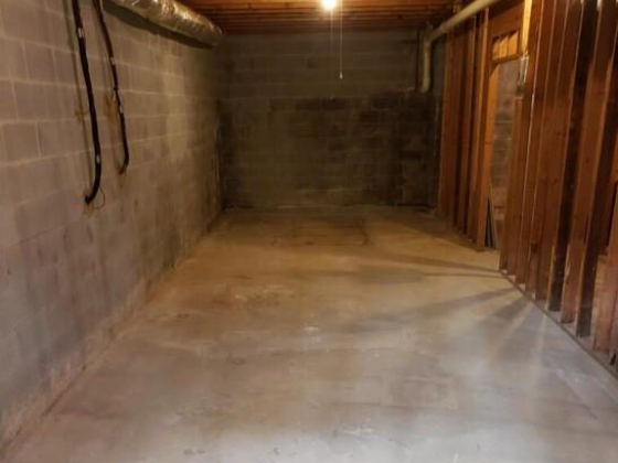 Basement clean out