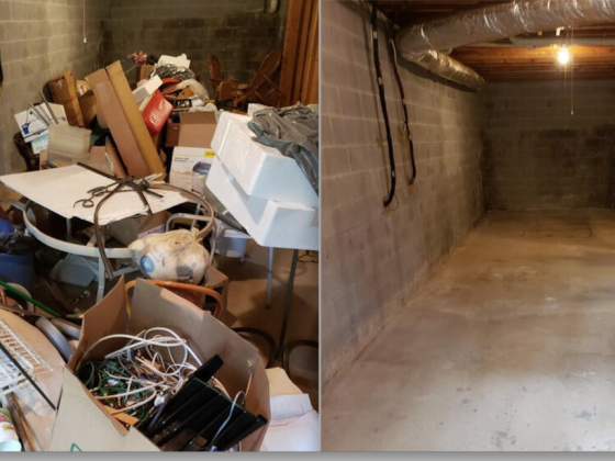 Haul off trash from basement