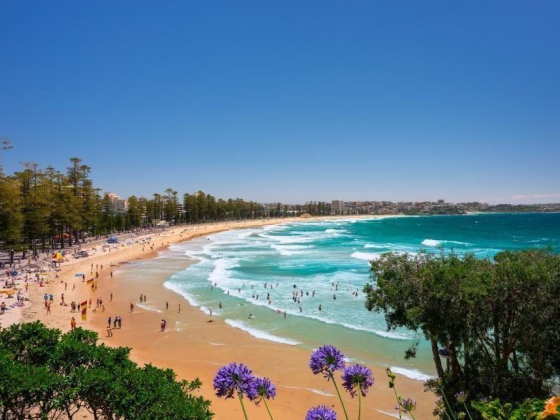 Sydney's 15 Best Beaches