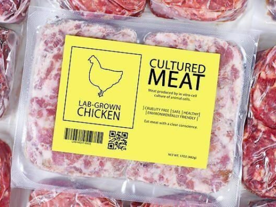 Cooking with lab-grown chicken might only be a couple of years away