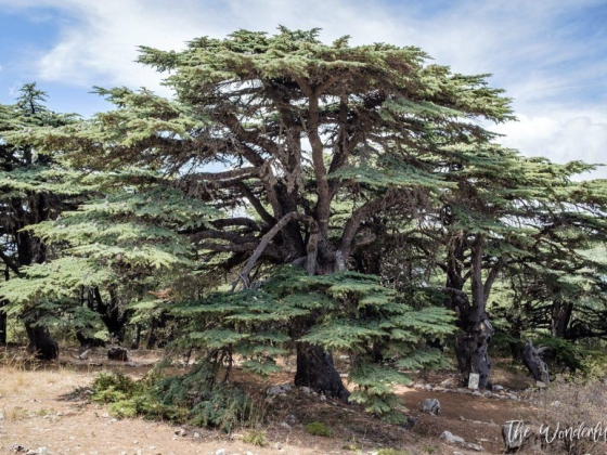 8 Most Beautiful Places to Visit in Lebanon and Itinerary