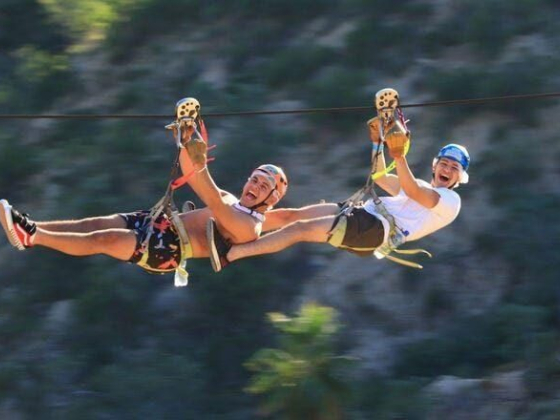 Best Things to Do in Cabo San Lucas