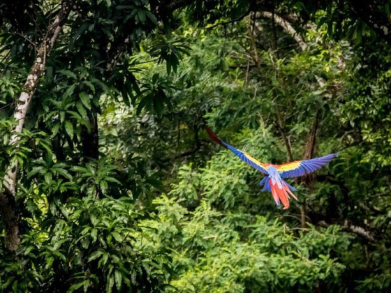 The Most Beautiful Spots in Honduras