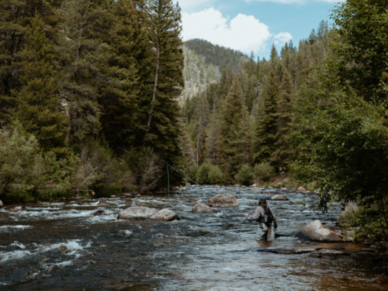 Fishing 101: A Camper’s Guide To Freshwater Fishing