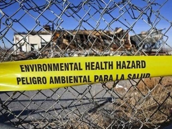 What are environmental health hazards?
