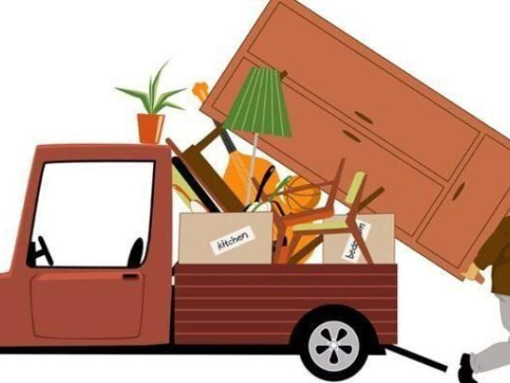 7 Reasons You Should Hire a Junk Removal Service
