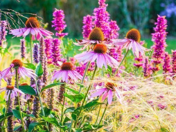 4 horticultural trends predicted to be huge in 2022