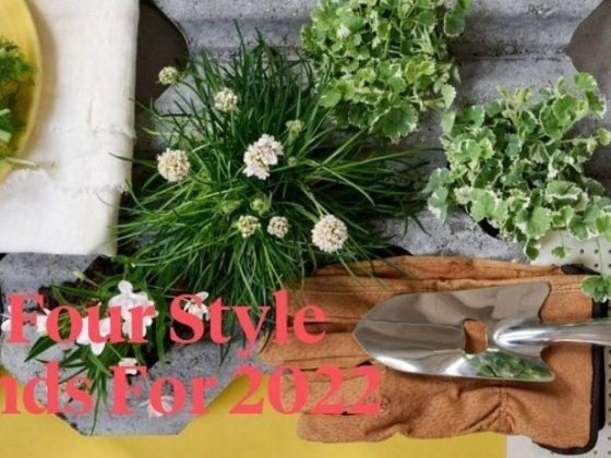 Flower Council Holland Announces 2022 Horticulture Sector Trends